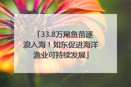 33.8万尾鱼苗逐浪入海！如东促进海洋渔业可持续发展