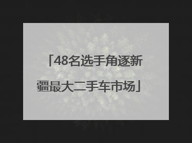 48名选手角逐新疆最大二手车市场
