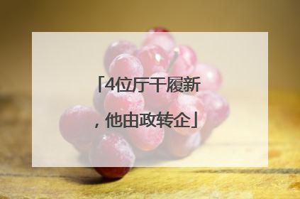4位厅干履新，他由政转企