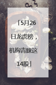 5月26日龙虎榜，机构青睐这14股