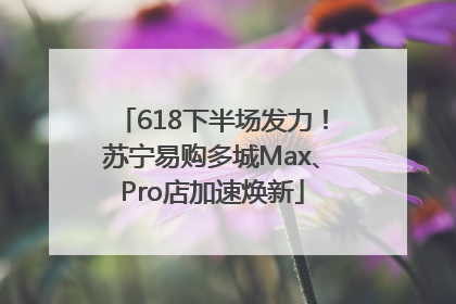 618下半场发力！苏宁易购多城Max、Pro店加速焕新