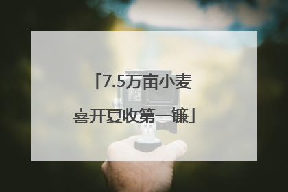 7.5万亩小麦喜开夏收第一镰