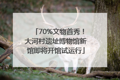 70%文物首秀！大河村遗址博物馆新馆即将开馆试运行