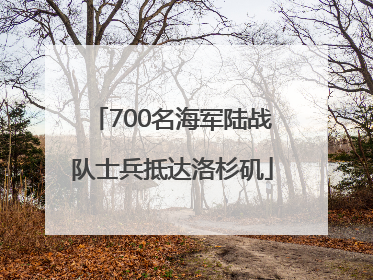 700名海军陆战队士兵抵达洛杉矶