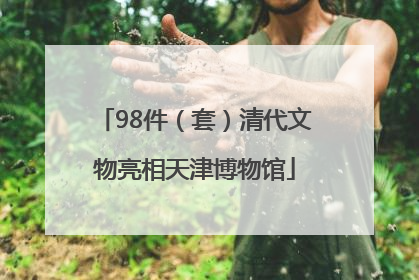 98件（套）清代文物亮相天津博物馆