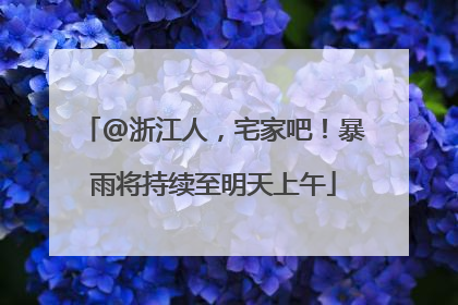 @浙江人，宅家吧！暴雨将持续至明天上午