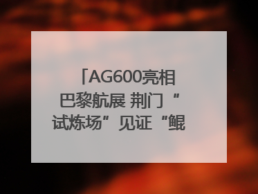 AG600亮相巴黎航展 荆门“试炼场”见证“鲲龙”腾飞
