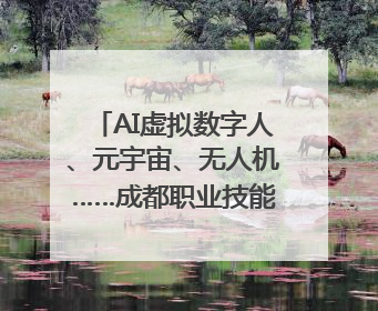 AI虚拟数字人、元宇宙、无人机……成都职业技能大赛启动