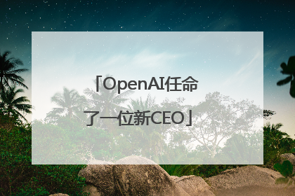 OpenAI任命了一位新CEO