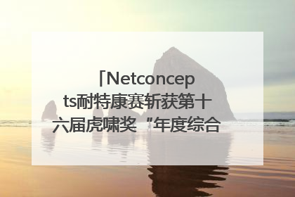 Netconcepts耐特康赛斩获第十六届虎啸奖“年度综合服务商”大奖