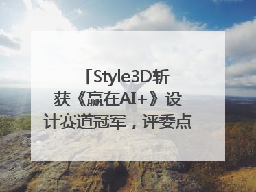 Style3D斩获《赢在AI+》设计赛道冠军，评委点评：AI+3D技术世界第一